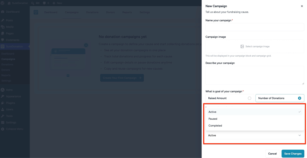 Campaign status options shown