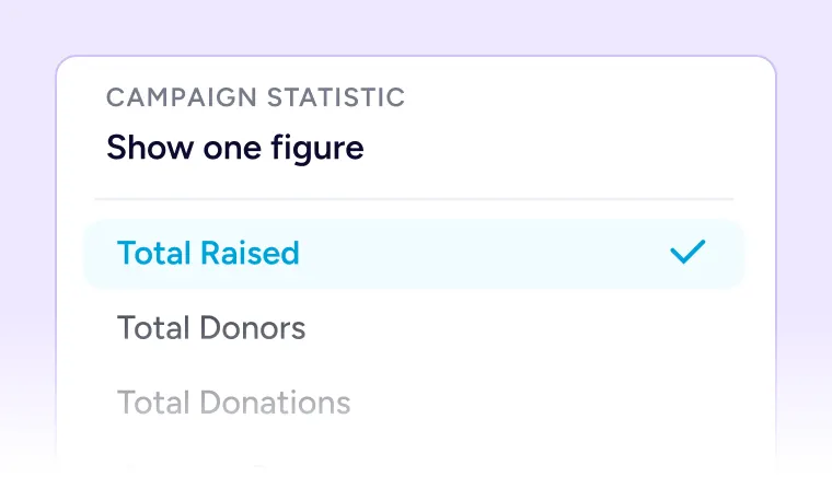 Campaign Goals & Progress Tracking Total raised campaign statistic