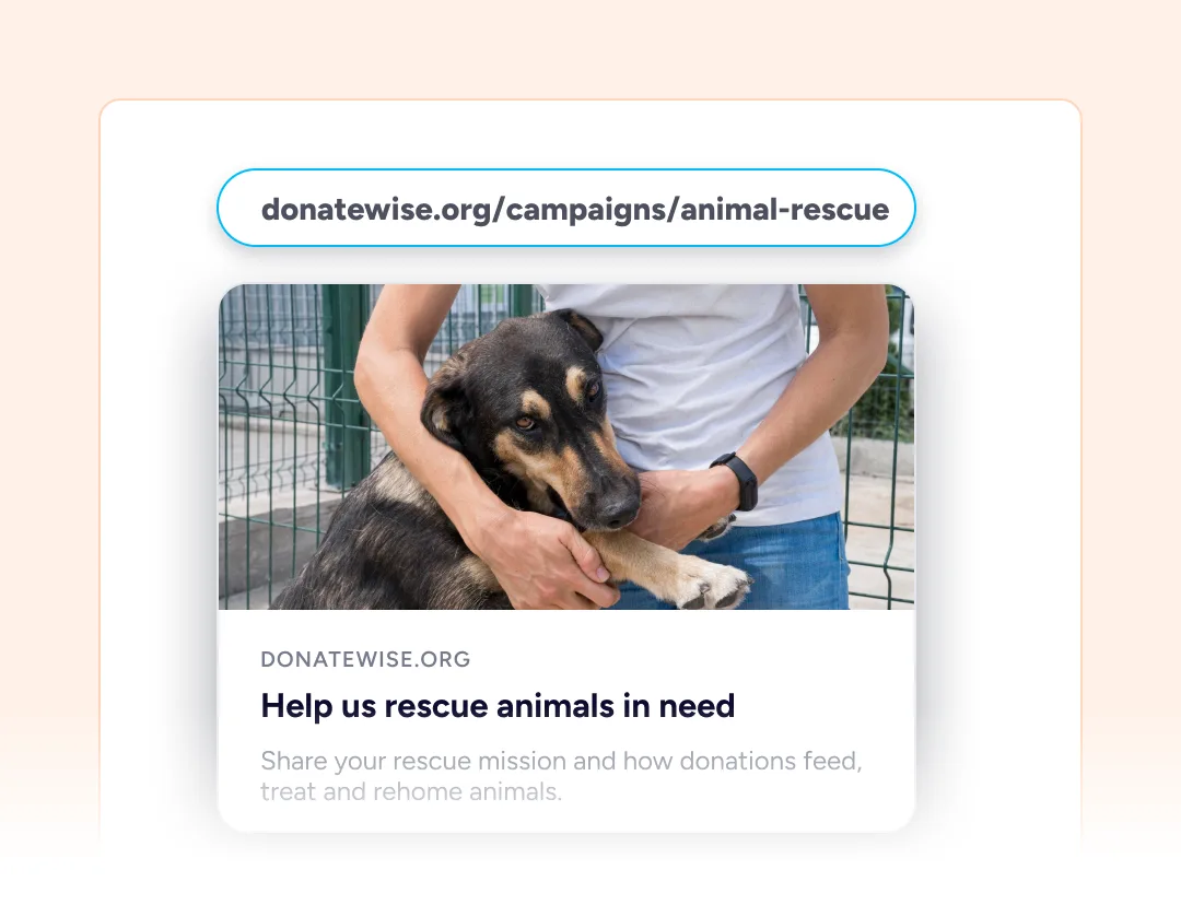 Person hugging a rescue dog.