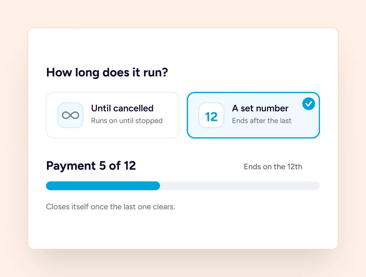 Set payment schedule options