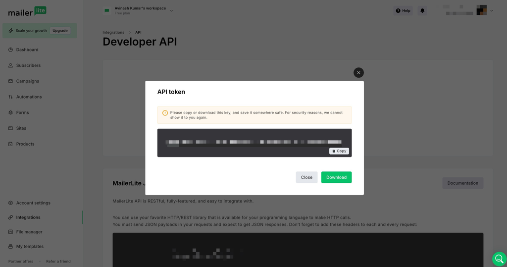 API token copy prompt